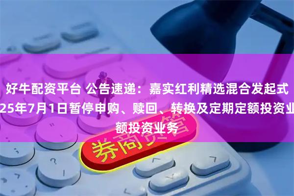 好牛配资平台 公告速递：嘉实红利精选混合发起式2025年7月1日暂停申购、赎回、转换及定期定额投资业务