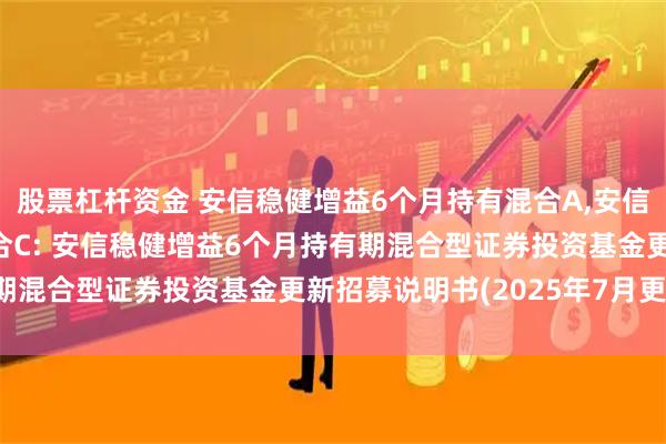 股票杠杆资金 安信稳健增益6个月持有混合A,安信稳健增益6个月持有混合C: 安信稳健增益6个月持有期混合型证券投资基金更新招募说明书(2025年7月更新)