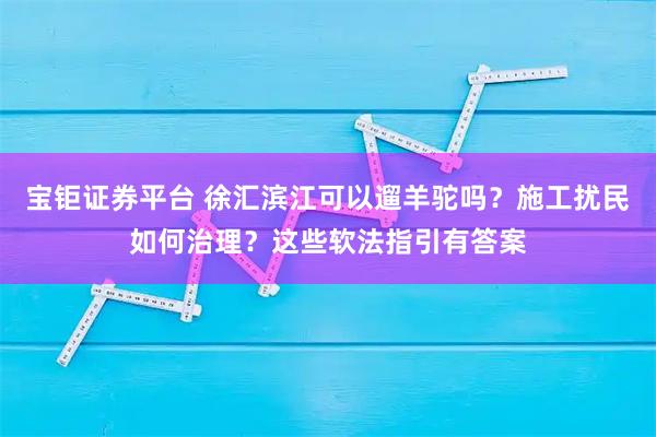 宝钜证券平台 徐汇滨江可以遛羊驼吗？施工扰民如何治理？这些软法指引有答案