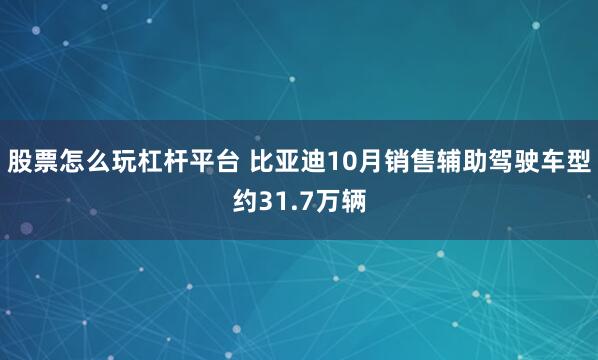 股票怎么玩杠杆平台 比亚迪10月销售辅助驾驶车型约31.7万辆